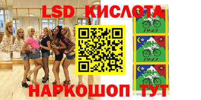 прущие грибы Будённовск