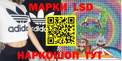 прущие грибы Будённовск