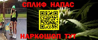 прущие грибы Будённовск