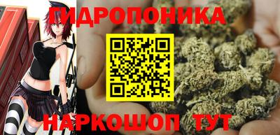 прущие грибы Будённовск