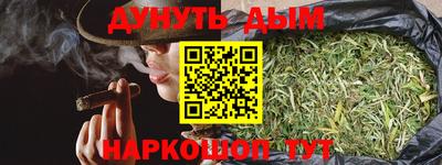 прущие грибы Будённовск