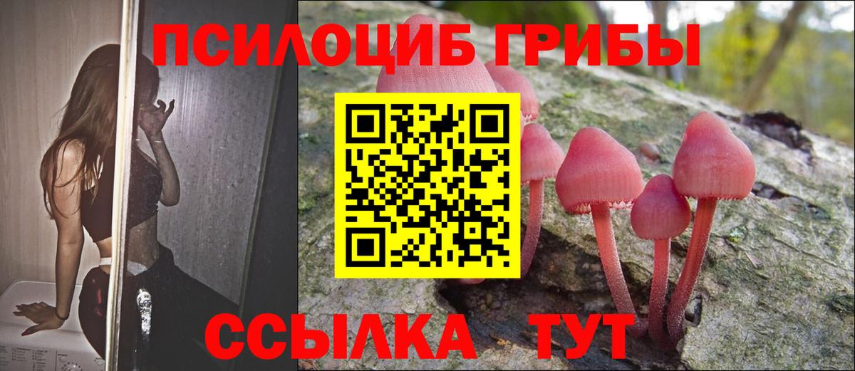 Галлюциногенные грибы мухоморы Мыски